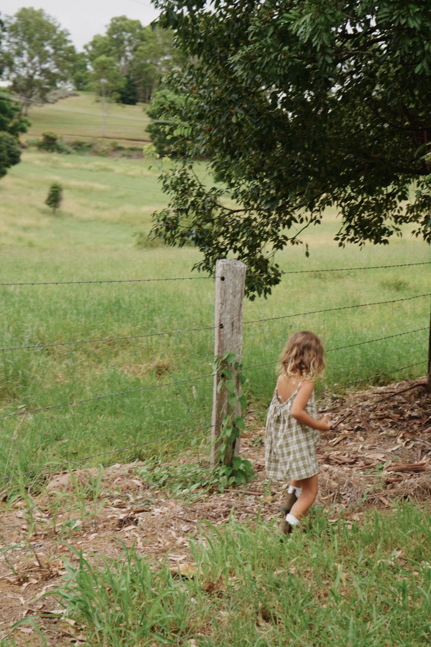 dress | green gingham